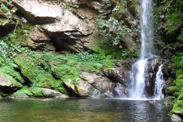 catarata de huacamillo lugar turistico tarapoto